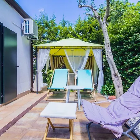 Pure Relax By The Forest Vinkuran