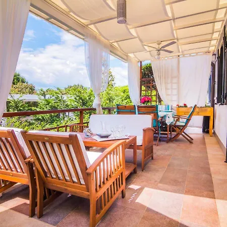 Pure Relax By The Forest