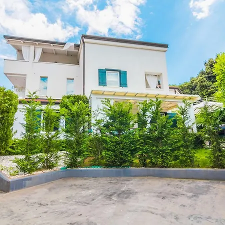 Pure Relax By The Forest