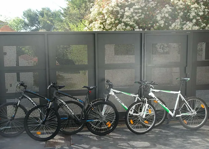 Pure Relax By The Forest *