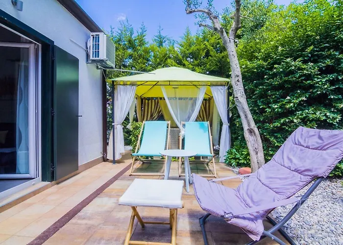 Pure Relax By The Forest 빈쿠란