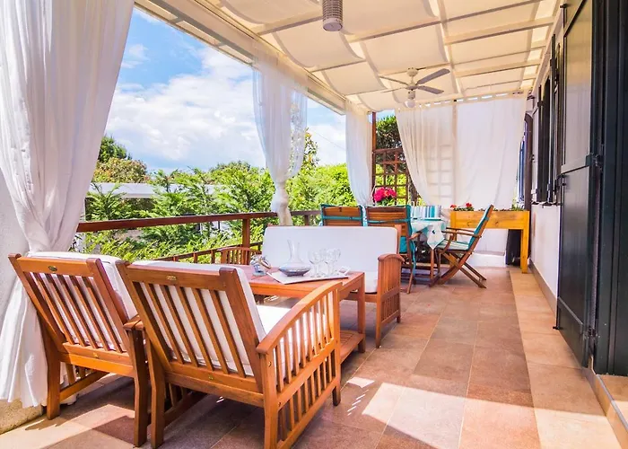 Pure Relax By The Forest