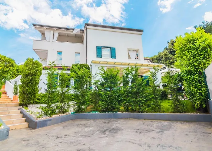 Pure Relax By The Forest